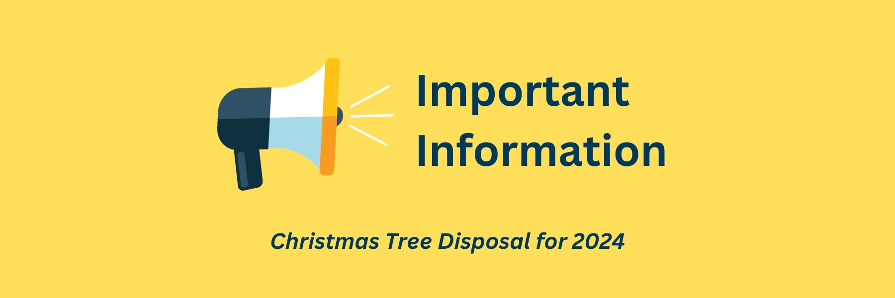 Christmas Tree Disposal for 2024